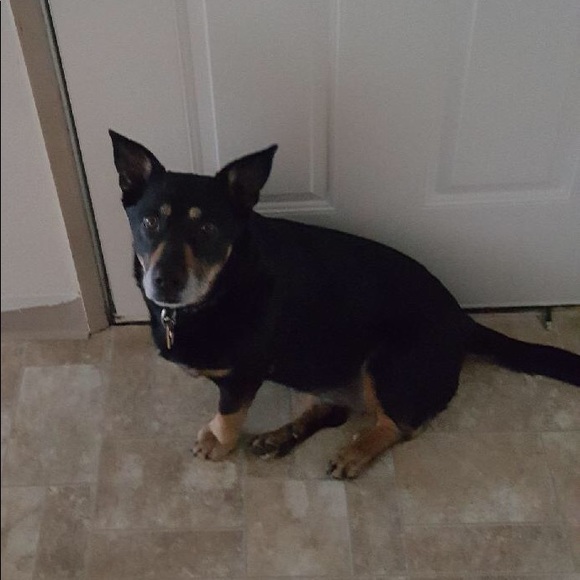 Welcome, Mika!! - Picture 5 of 8